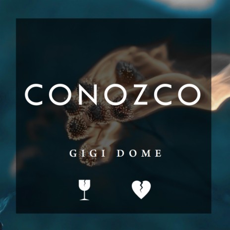 Conozco | Boomplay Music