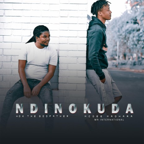 NDINOKUDA (Radio edit) ft. Mcdee Madhara | Boomplay Music
