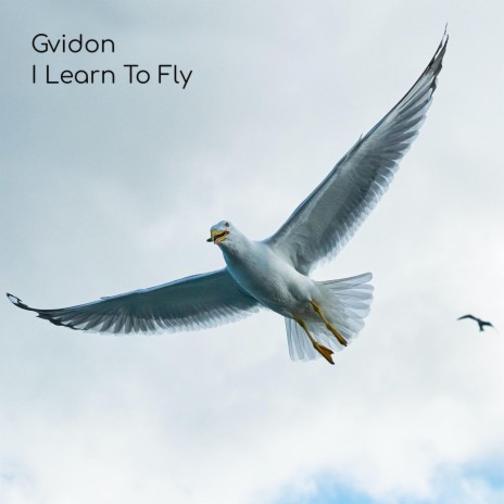 I Learn To Fly | Boomplay Music