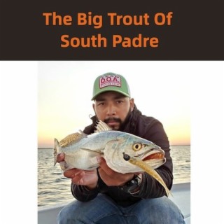 The Giant Trout Of South Padre