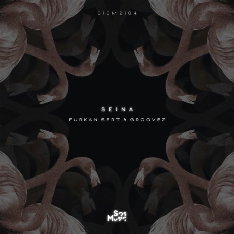 Seina ft. Groovez | Boomplay Music