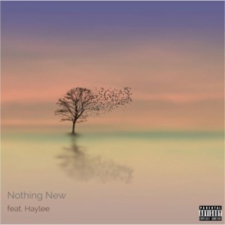 Nothing New (feat. Haylee)