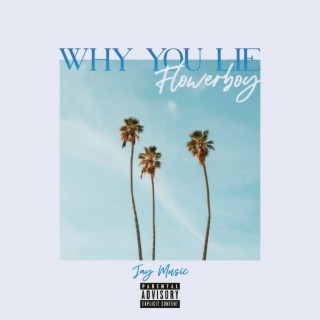 Why You Lie (with FlowerBoy)