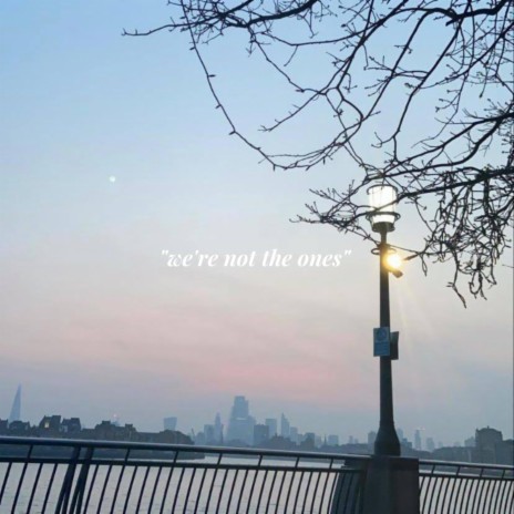 We're Not the Ones | Boomplay Music