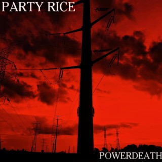 Party Rice