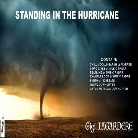 Standing In The Hurricane