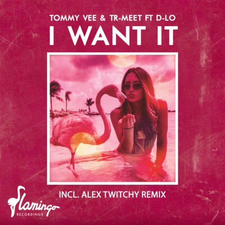 I Want It ft. Tr-Meet & D-LO | Boomplay Music