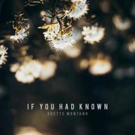 If you had known | Boomplay Music