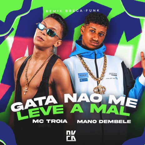 Gata Nao Me Leve a Mal (Remix) ft. Mc Troia | Boomplay Music