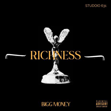 Richness | Boomplay Music