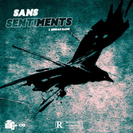 Sans Sentiments | Boomplay Music
