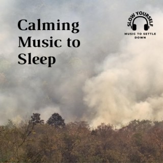 Calming Music to Sleep