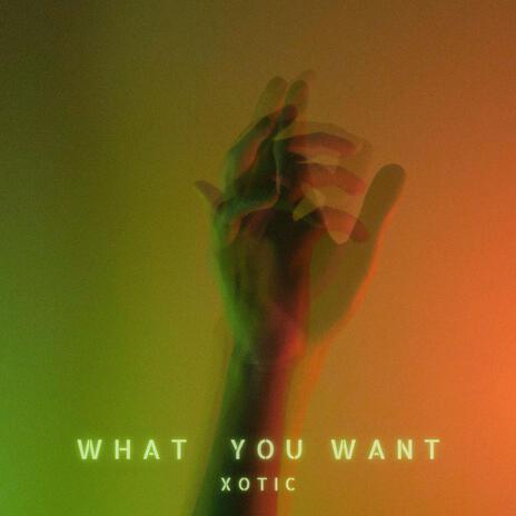 What You Want | Boomplay Music