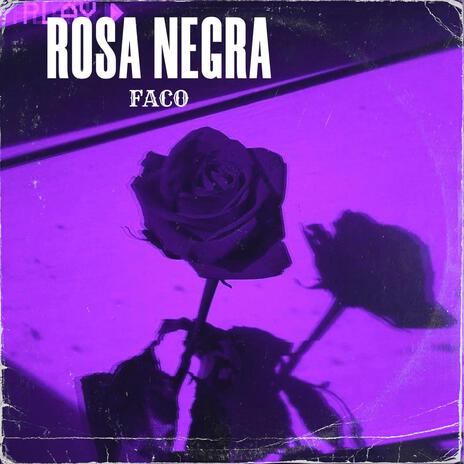 Rosa negra