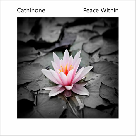 Peace Within | Boomplay Music