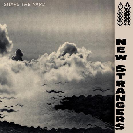 Shave The Yard