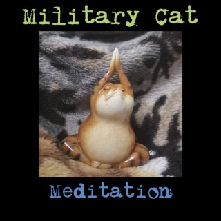 Meditation