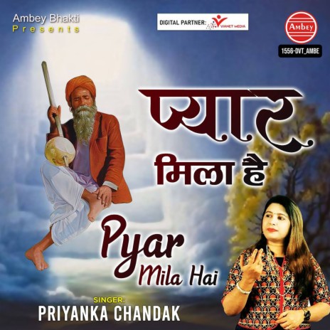 Pyar Mila Hai | Boomplay Music