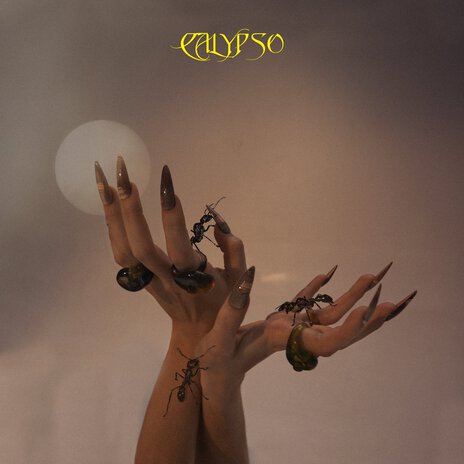 Calypso | Boomplay Music