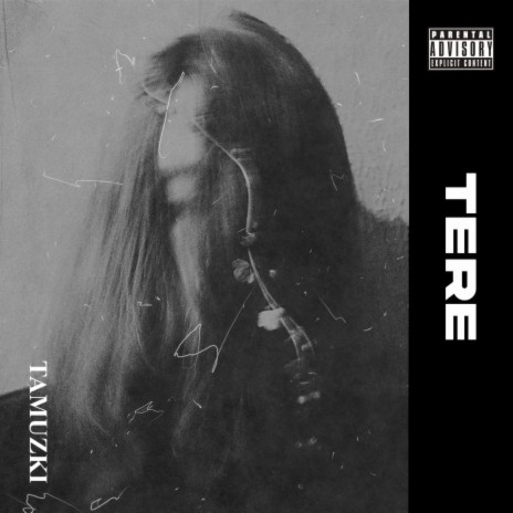 Tere | Boomplay Music