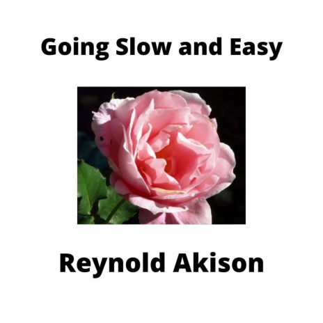 Going Slow And Easy | Boomplay Music