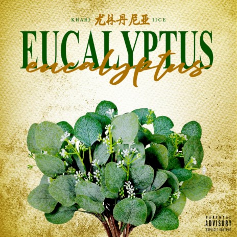 Eucalyptus | Boomplay Music