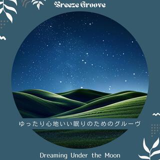 ゆったり心地いい眠りのためのグルーヴ - Dreaming Under the Moon