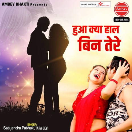 Hua Kya Haal Bin Tere | Boomplay Music