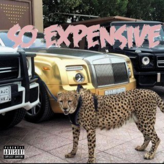 So Expensive lyrics | Boomplay Music