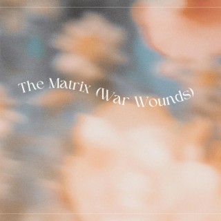 The Matrix (War Wounds) lyrics | Boomplay Music