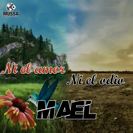 Ni el Amor Ni el Odio | Boomplay Music