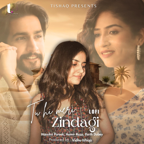 Tu Hi Meri Zindagi (Lofi) ft. Aamir Raza & Parth Dubey | Boomplay Music