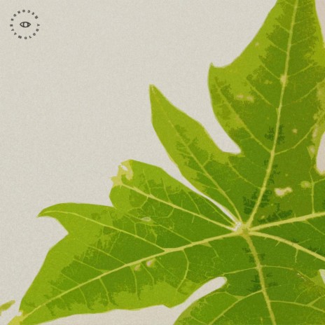 Green Papaya | Boomplay Music