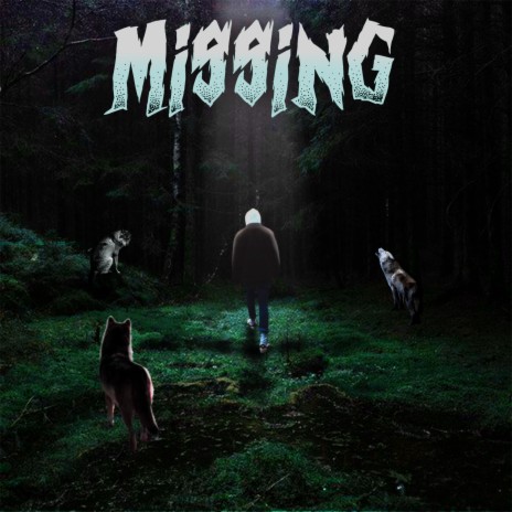 Missing | Boomplay Music