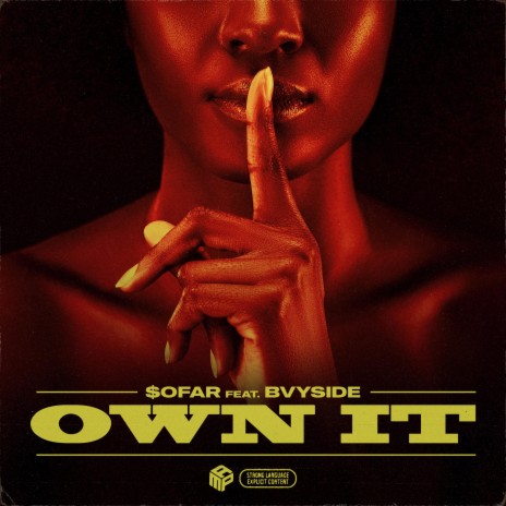 Own It (feat. Bvyside)