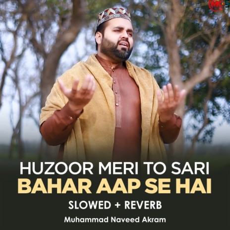 Huzoor Meri To Sari Bahar Aap Se Hai Lofi | Boomplay Music