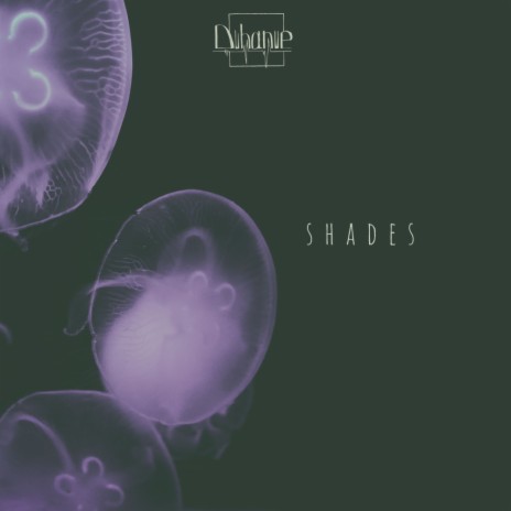 Shades (Original Mix) | Boomplay Music