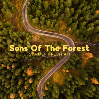 Sons Of The Forest: Summer Fresh Air