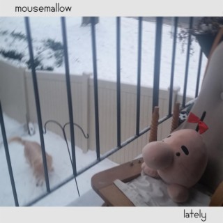 mousemallow