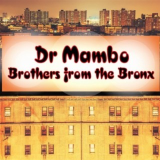 Dr Mambo