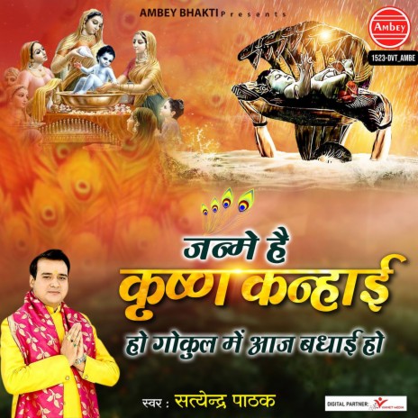 Janme Hai Krishna Kanhaiyi Ho Gokul Me Aaj Bhadhayi Ho | Boomplay Music