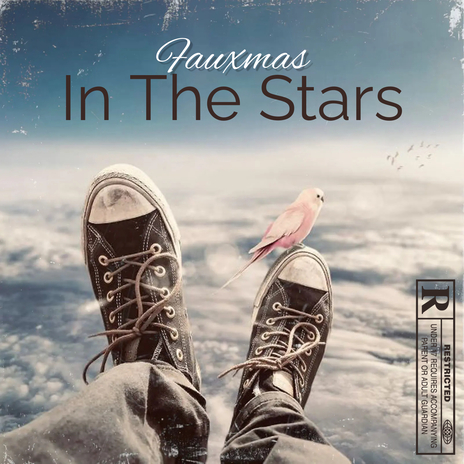 In the Stars | Boomplay Music