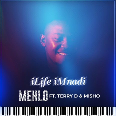 Ilife Imnandi (feat. Terry D & Misho) | Boomplay Music