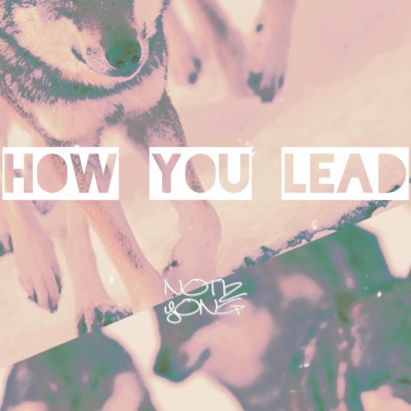 How You Lead