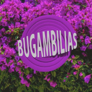 Bugambilias