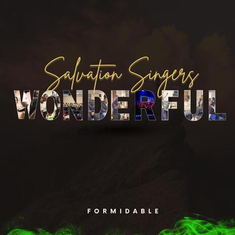 WONDERFUL | Boomplay Music