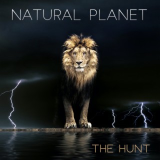 Natural Planet: The Hunt