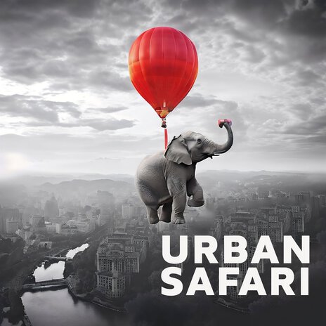 Urban Safari | Boomplay Music