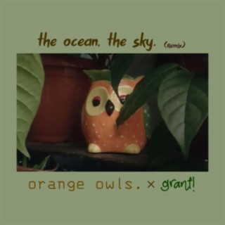 the ocean, the sky (grant! Remix)