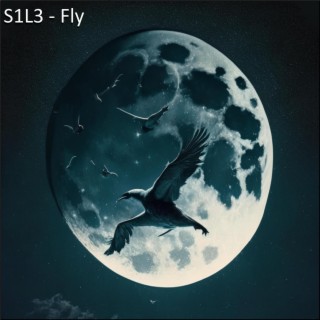 Fly lyrics | Boomplay Music